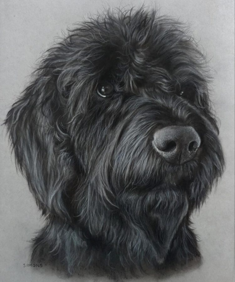 Sarah Simons latest drawing. Drawing a lot of animals has lead me to wanting to get better at drawing in general, Simons said. Simons draws her friends and familys pets for fun.