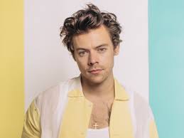 Harry Styles poses for a photoshoot. 