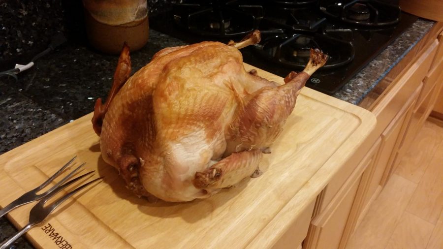 Thanksgiving turkey photo courtesy of Wikimedia Commons.