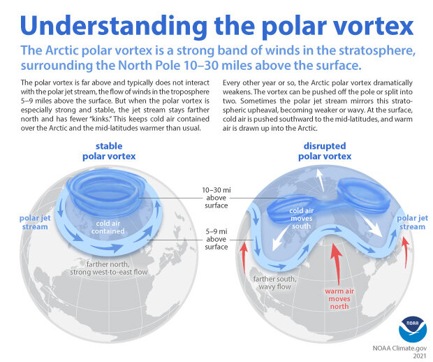 A map of the Northern polar vortex.