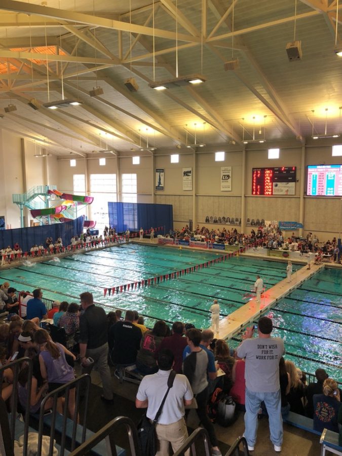 The crowd cheers on Moreland as she swims the 500-yard freestyle. “She placed better at State then she was seated to, which shows her determination,” assistant coach Samantha Loepker said. Moreland was seeded to swim 5:47.29 at State, but beat this expectation and swam her fastest time of the season.