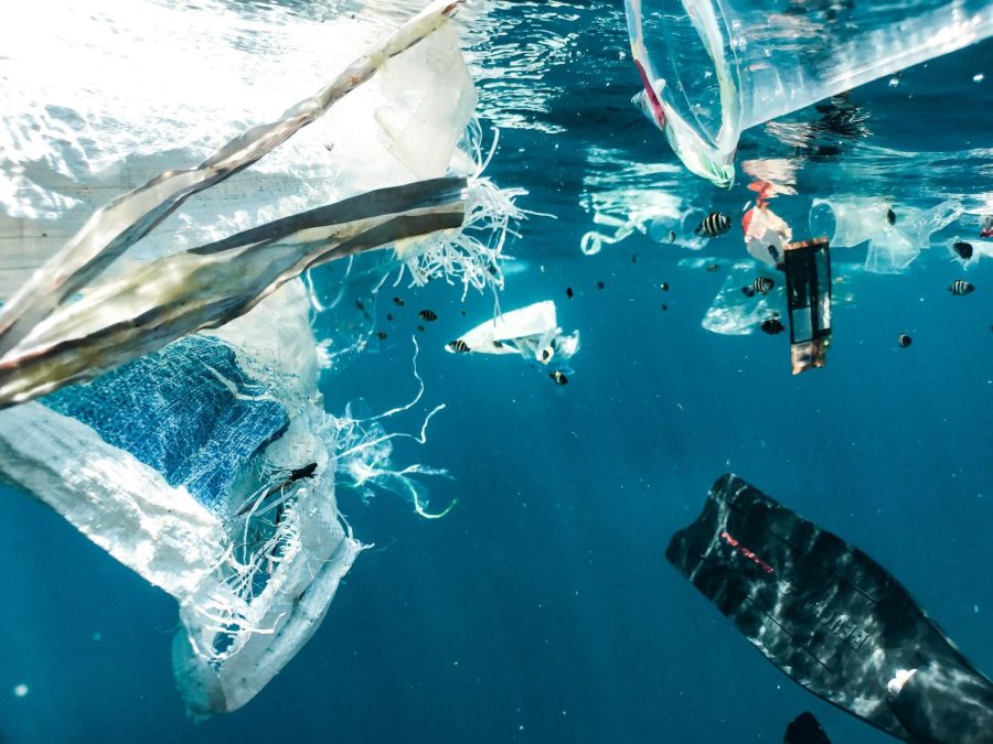 Plastic and trash pollution in the ocean